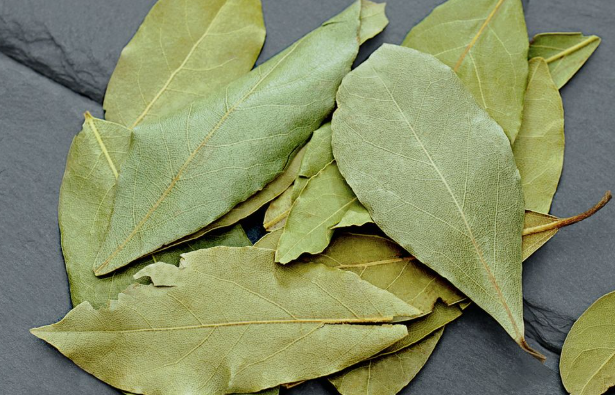 Bay Leaf for Skin Care: Benefits, Uses, and What Science Says