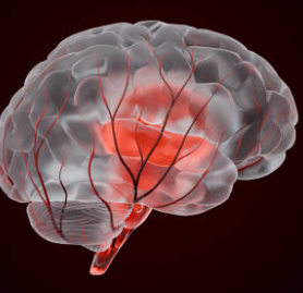 4 Morning Habits That May Affect Your Heart and Brain Health