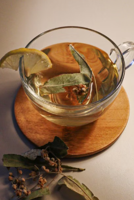 Ancient Herbal Remedies Traditionally Used to Support Respiratory Health