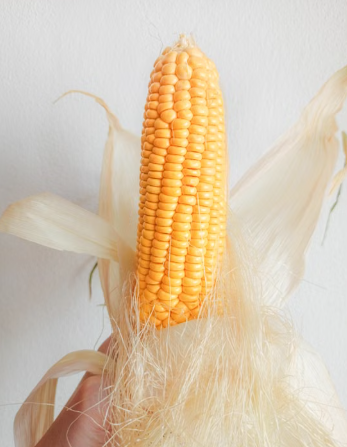 Corn Silk Tea: Potential Benefits and What Research Says